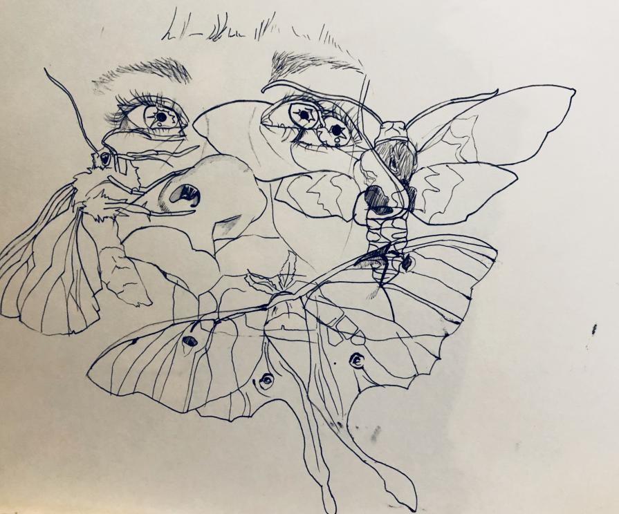 Untitled (self becoming moths)