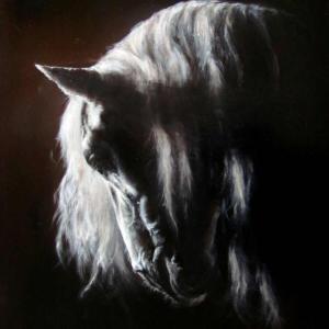 'follow tour dreams' 'follow tour dreams'