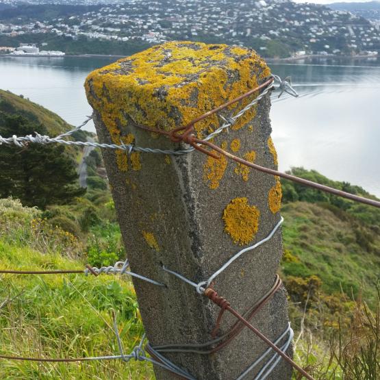 decorated post decorated post