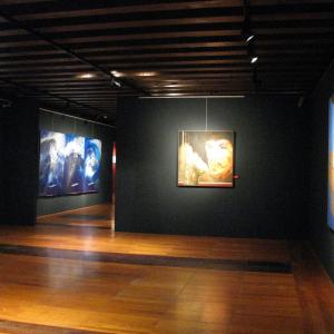 PAOLO BARATELLA: COSTANTI E VARIABILI Mostra Antologica d'Arte Contemporanea - Casa dei Carraresi - Treviso