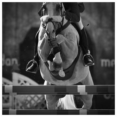 Nuovo Arezzo Equestrian Centre - località San Zeno