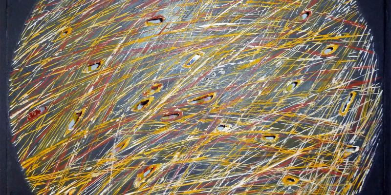 ….Nel mio rifiorire ti racconterò una storia….. a cura di Silvana Nota ….Nel mio rifiorire ti racconterò una storia….. a cura di Silvana Nota