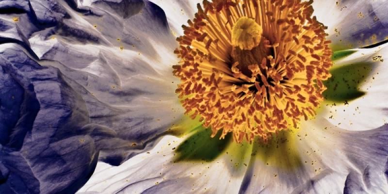 Architectural Digest Home Design Show Architectural Digest Home Design Show