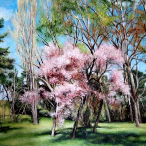 XMAS ART IN MODENA - volti personaggi, luoghi XMAS ART IN MODENA - volti personaggi, luoghi