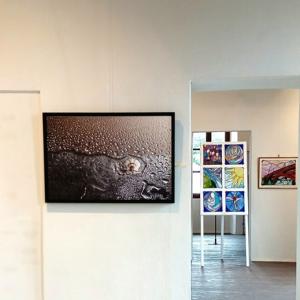 Palazzo Ducale di Revere dal 1° Luglio.