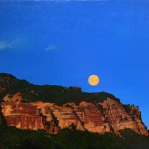 Dal 7 Gennaio a Modena visioni personali del paesaggio in "Dimensione ambiente"