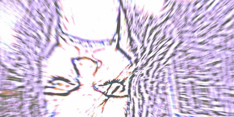 creationism creationism