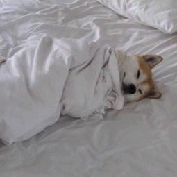 Bianca Cork Bianca Cork