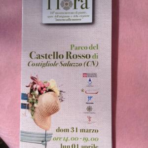 Flora- intorno alla natura