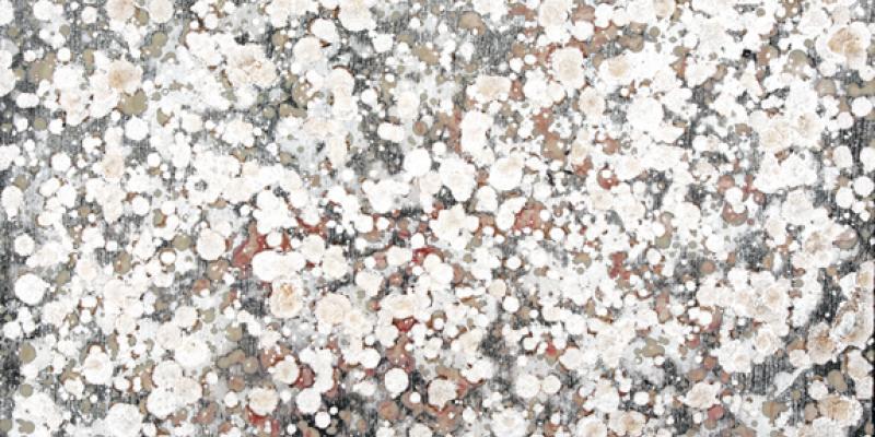 Mostra personale dell'artista newyorkese Ellen Sylvarnes Mostra personale dell'artista newyorkese Ellen Sylvarnes