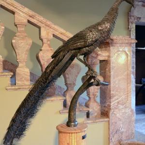 LE FOTO DI ALTRA NATURA IN VILLA fino al 25 ottobre CLUB LA MERIDIANA (MO)