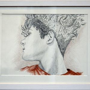 SUPREMA EFFIGIE al Palazzo Ducale di Revere (MN)