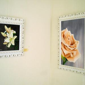 Altra Natura a Revere (mn)