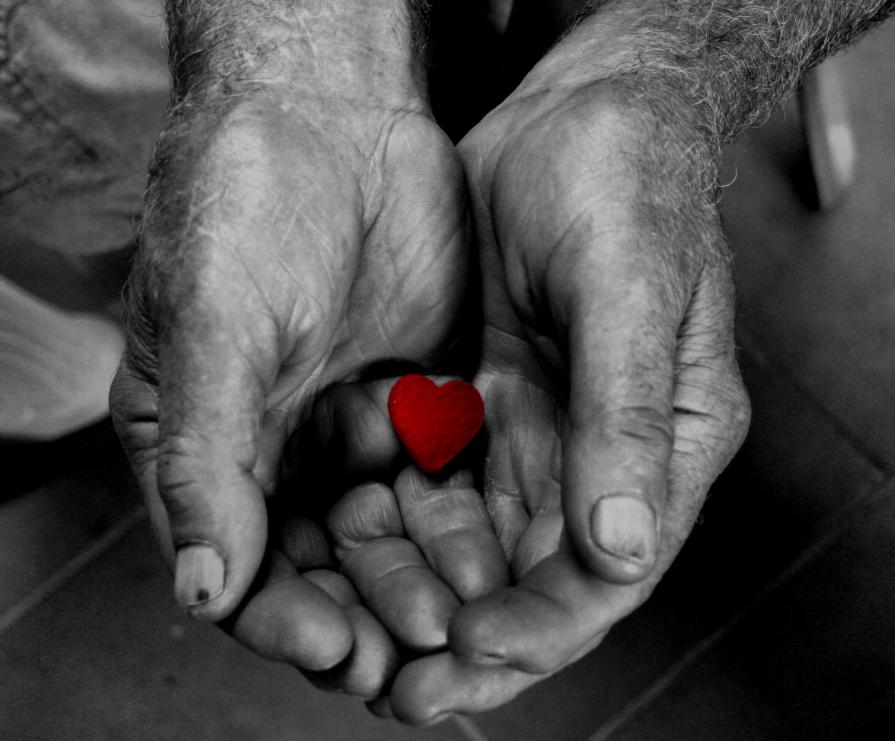 The guardian ok my heart