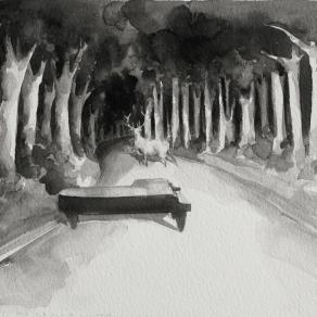 sono sceso e il cervo non c'era più