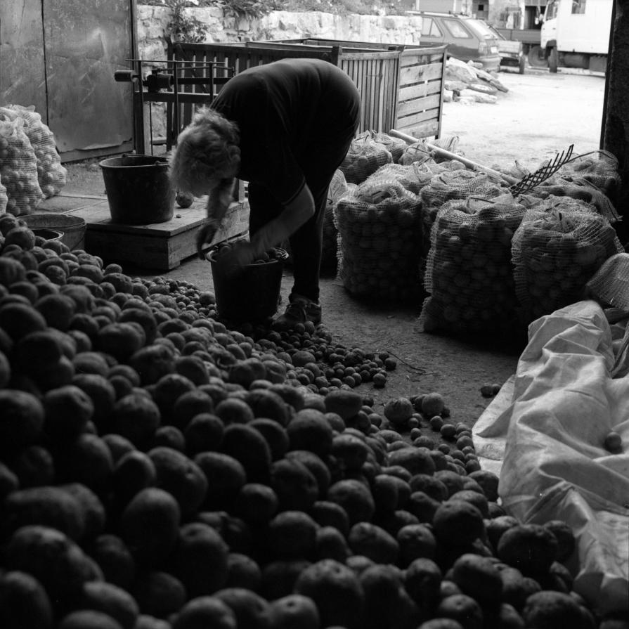 Rural life in the Czech Republic