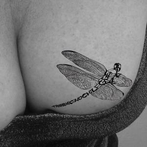 Il Segno 2011. Premio nazionale d’arte contemporanea Il Segno 2011. Premio nazionale d’arte contemporanea