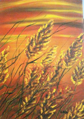 Amalia Alia – Pennellate di luce