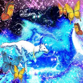 ...BASTA NON ARRENDERSI MAI !!!...