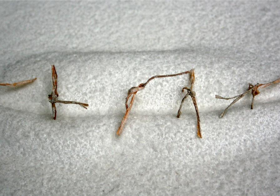 Sul silenzio e il sale della vita