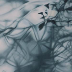 After Midnight, morning comes (detail) After Midnight, morning comes (detail)