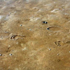 Non andare dove il sentiero può portare. Vai, invece, dove non c'è il sentiero e lascia una traccia. (Ralph Waldo Emerson)