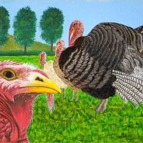 LG 0217 - I tacchini