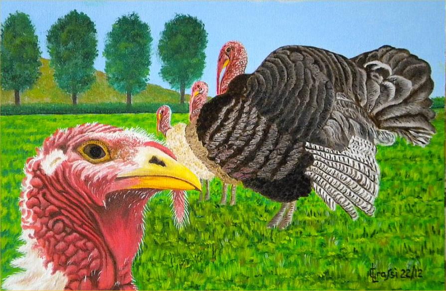 LG 0217 - I tacchini