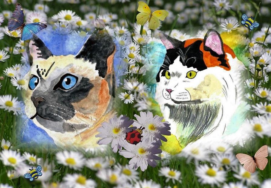  il mio pazzarello acquarello !!!! 29