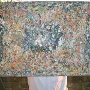 La materia prende forma e teoria del metamorfismo cromatico La materia prende forma e teoria del metamorfismo cromatico