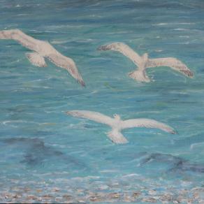 sea birds in halkidiki