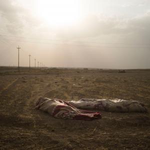 War of a Forgotten Nation War of a Forgotten Nation