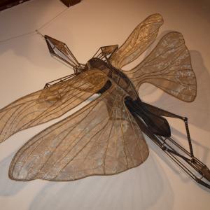 Ultracorpo - dettaglio