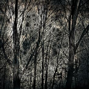 Prima della valanga  ( Before the avalanche ) 