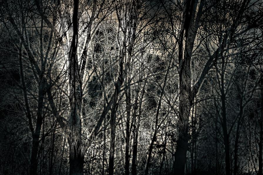 Prima della valanga  ( Before the avalanche ) 