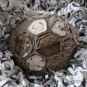 IL CAVOLO PERMANENTE DI WILSON