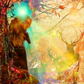 Siediti qui, vicino alle mie paure di perdere tutto, aspettiamo che sia l’autunno a fare la prima mossa.