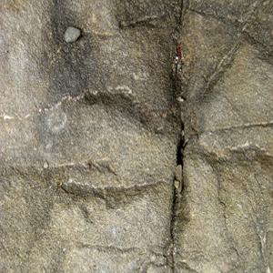 "Gesto Segno Disegno" art-exhibition, Sainte Chapelle - un progetto di Federico Cozzucoli "Gesto Segno Disegno" art-exhibition, Sainte Chapelle - un progetto di Federico Cozzucoli