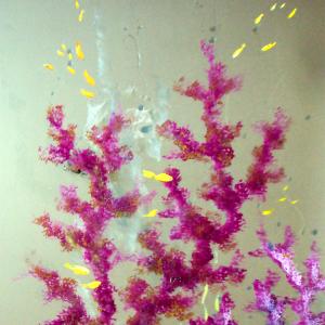 PARADISE BAR inaugurazione.