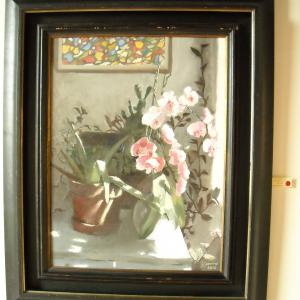 Altra Natura a Revere (mn)