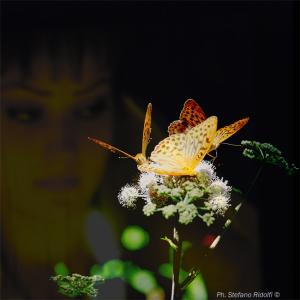 Collective Exhibition