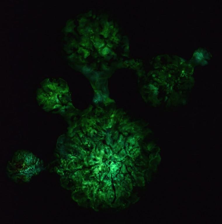 Enrico Magnani, Searching the Unknown. The Dark Matter Collection