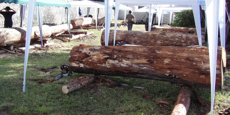 SIMPOSIO DI SCULTURA