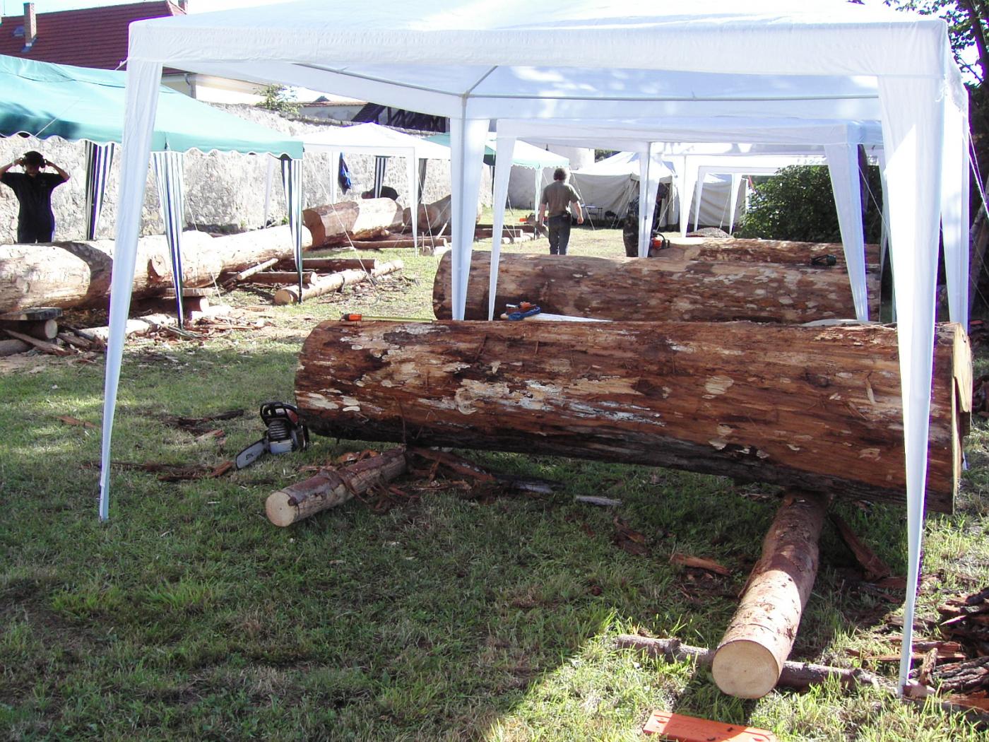 SIMPOSIO DI SCULTURA