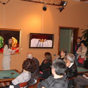 Natura:Luci e Ombre a Modena.