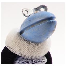 Carolien Adriaansche