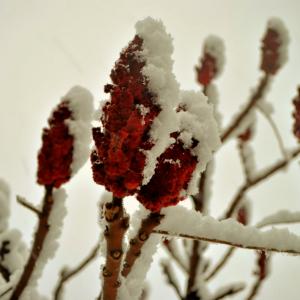 ISTANTI - Fotocomics14