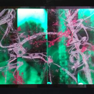 "Special Mention" Of the Artistic Committee of the Literary Cafe Art Prize 2013