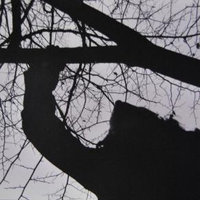 Shadow in the twilight