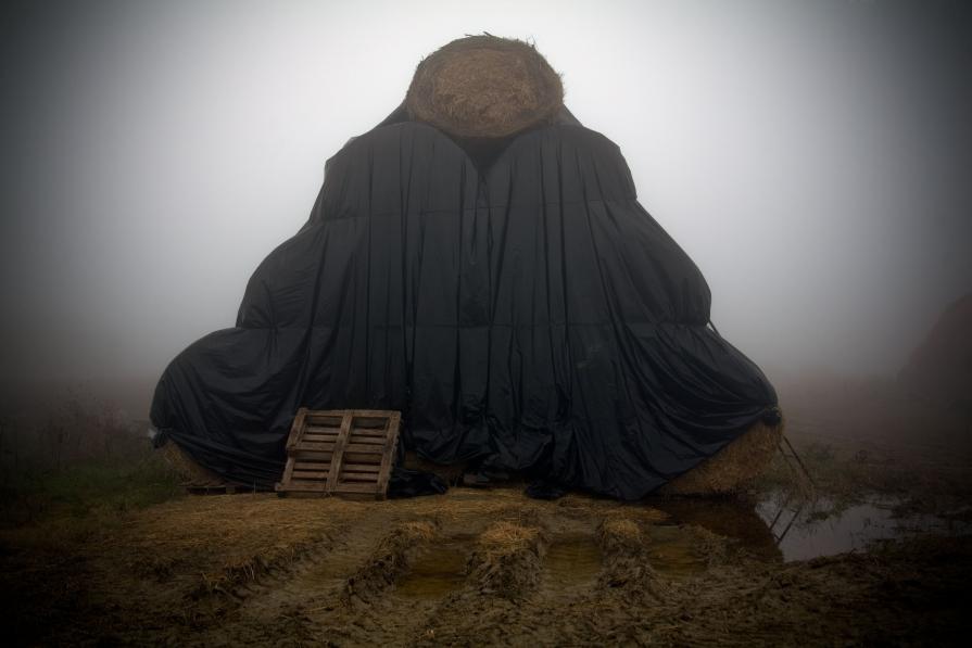 Attesa Silente , Cuore di Pioggia